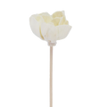Fleur d'Andromède campanulée - Bâtonnet diffuseur en rotin